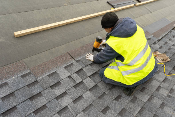 Roof Gutter Cleaning in Lake Crystal, MN